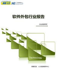 软件外包行业报告